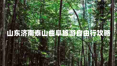 山东济南泰山曲阜旅游自由行攻略