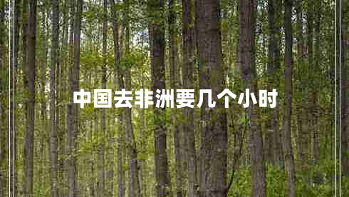 中国去非洲要几个小时