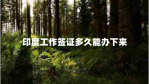 印度工作签证多久能办下来