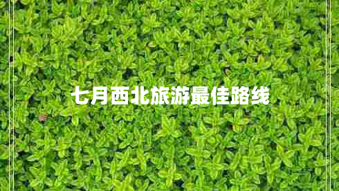七月西北旅游最佳路线