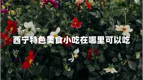 西宁特色美食小吃在哪里可以吃