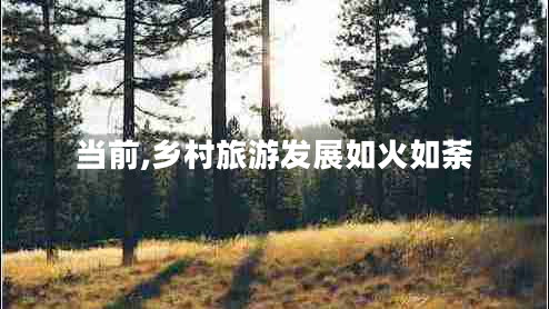 当前,乡村旅游发展如火如荼