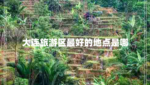 大连旅游区最好的地点是哪