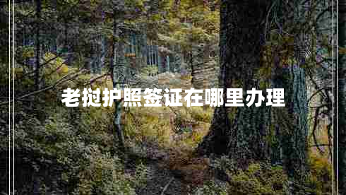 老挝护照签证在哪里办理