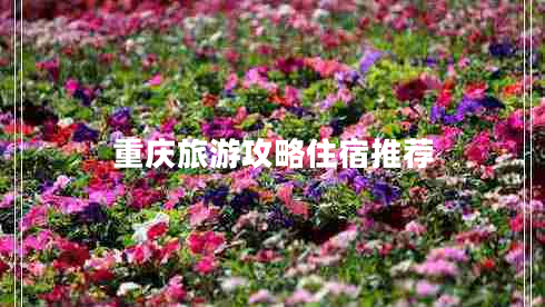 重庆旅游攻略住宿推荐