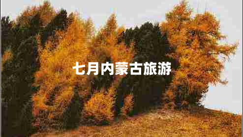 七月内蒙古旅游