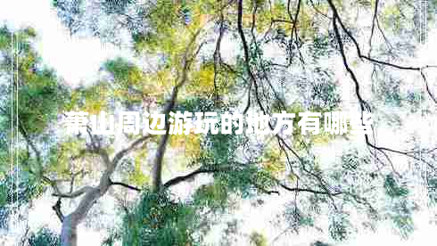 萧山周边游玩的地方有哪些