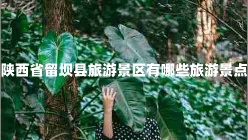 陕西省留坝县旅游景区有哪些旅游景点