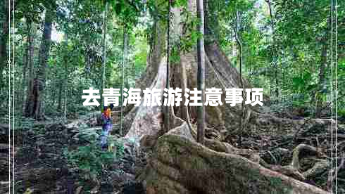 去青海旅游注意事项
