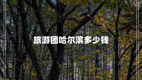 旅游团哈尔滨多少钱