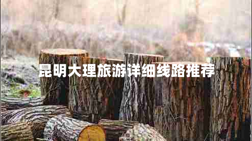 昆明大理旅游详细线路推荐 昆明大理旅游详细线路推荐