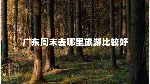 广东周末去哪里旅游比较好