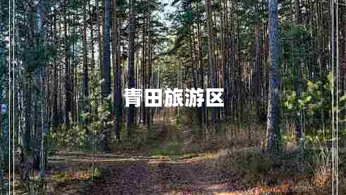 青田旅游区 青田旅游区