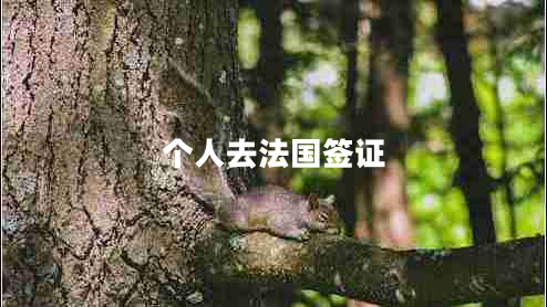 个人去法国签证