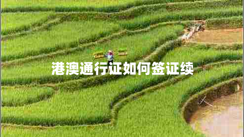 港澳通行证如何签证续