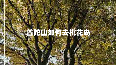 普陀山如何去桃花岛