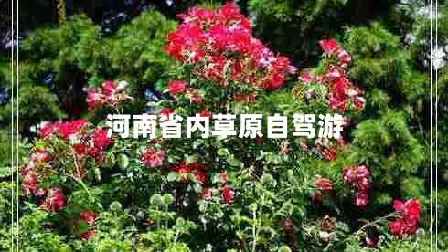 河南省内草原自驾游