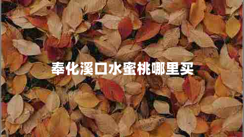 奉化溪口水蜜桃哪里买