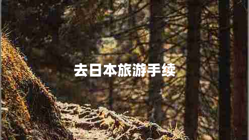 去日本旅游手续