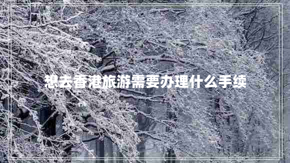 想去香港旅游需要办理什么手续