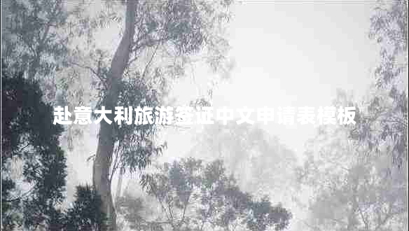 赴意大利旅游签证中文申请表模板