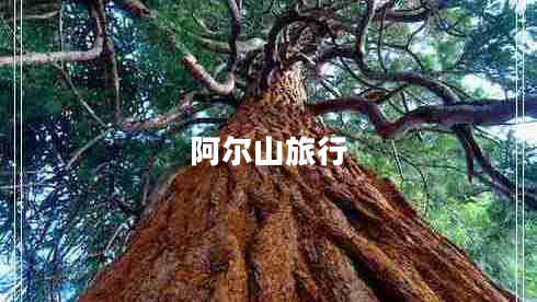 阿尔山旅行
