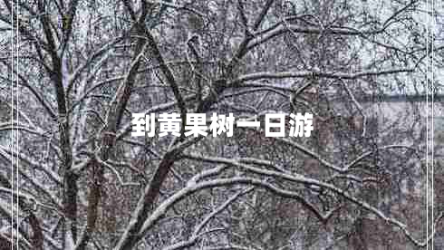 到黄果树一日游