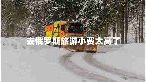去俄罗斯旅游小费太高了