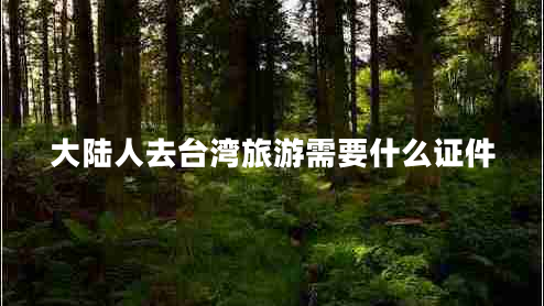 大陆人去台湾旅游需要什么证件