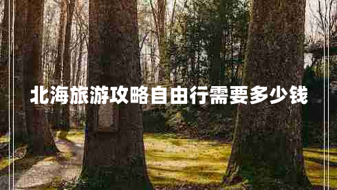 北海旅游攻略自由行需要多少钱