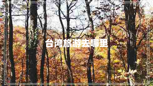 台湾旅游去哪里