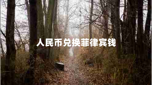 人民币兑换菲律宾钱