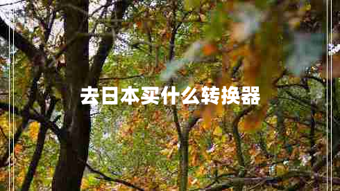 去日本买什么转换器
