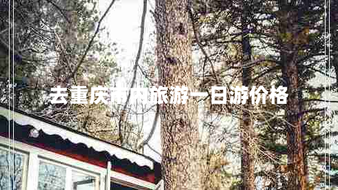去重庆市内旅游一日游价格