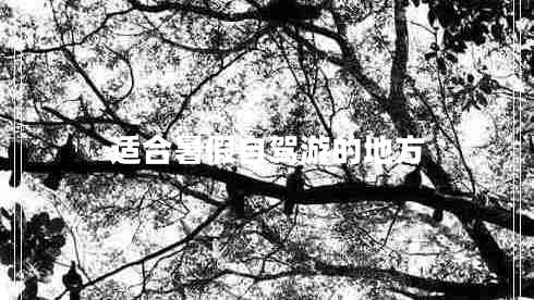 适合暑假自驾游的地方