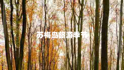 苏梅岛旅游季节