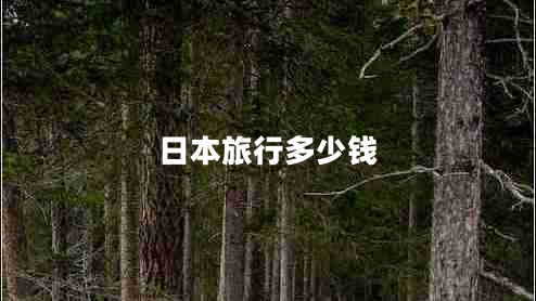 日本旅行多少钱