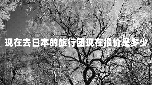 现在去日本的旅行团现在报价是多少