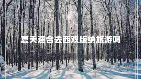 夏天适合去西双版纳旅游吗