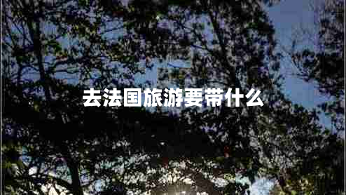 去法国旅游要带什么