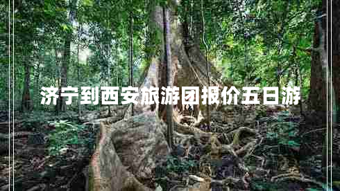 济宁到西安旅游团报价五日游