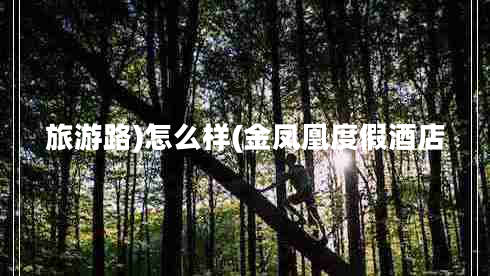 旅游路)怎么样(金凤凰度假酒店