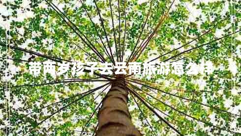 带两岁孩子去云南旅游怎么样