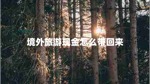 境外旅游现金怎么带回来