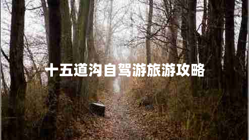十五道沟自驾游旅游攻略