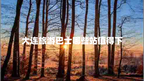 大连旅游巴士哪些站值得下