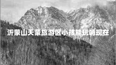 沂蒙山天蒙旅游区小孩能玩吗现在