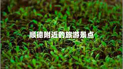 顺德附近的旅游景点