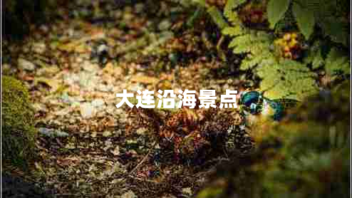 大连沿海景点