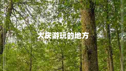 大庆游玩的地方